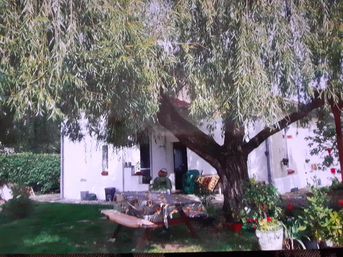 Hotel Peti Kaz à Saint-Seurin-sur-l'Isle Extérieur photo